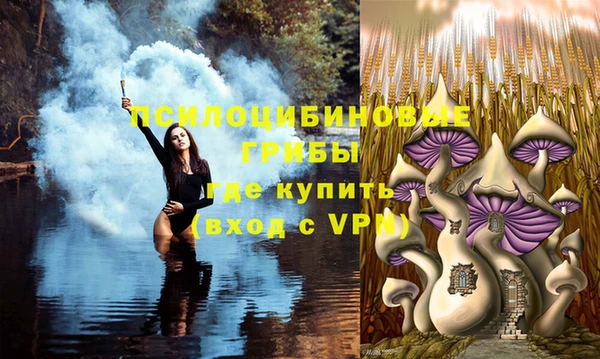 МДМА Арсеньев